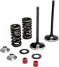 60-60460 Kpmi Intake Valve Spring Kit