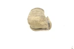 Polaris Rzr 800 Eps Clutch Inlet Boot 5414306 47314. Fixed Price $19.89.