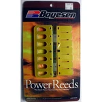 Mercury V6 Racing Reed Valve 7-PETAL 10000 Rpm 44XS 245 260HP Drag 815242A3. Fixed Price $270.30.