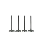 Can-am Defender HD10 Intake Valve Kit 2020-2025. Fixed Price $66.99.