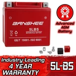 ST5L-BS Replacement Battery For Atv Honda TRX90 90CC 06-'09. Fixed Price $43.37.