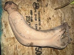 Used Oem Polaris Ranger 900 Xp 13-15 Exhaust Header Pipe. Fixed Price $200.00.