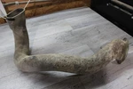 2014 Arctic Wildcat Trail 700 4X4 Clutch Cover Inlet Duct Hose Tube. Fixed Price $26.96.