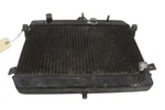 Suzuki Quad Runner 4X4 500 99 Radiator 17710-09F00 54229. Fixed Price $44.94.