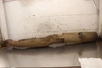 1996 Polaris Xplorer 400L Exhaust Pipe Muffler Slip On Can Silencer H132. Fixed Price $87.99.