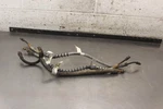 1989 Polaris Trail Boss 250 2X4 Front Rear Back Brake Hoses Lines E124. Fixed Price $89.99.